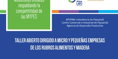 Taller «Mediciones eficaces respaldando la competitividad de las MYPES»