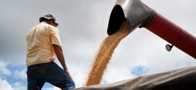 ¿Qué se espera para el agro, la industria, el comercio y la construcción para 2016?