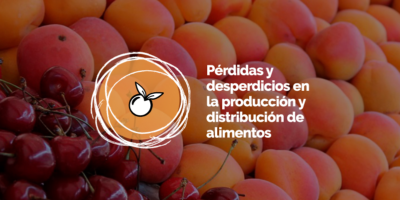 Evento Pérdidas y Desperdicios en la Producción alimenticia