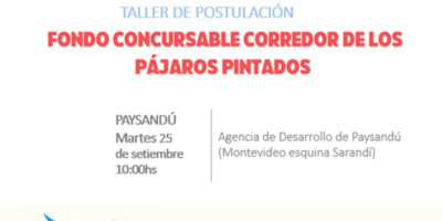 Taller de postulación: Fondo concursable Corredor de los Pájaros Pintados