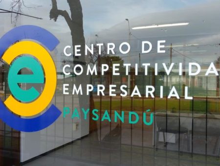 Convocatoria Programa de Apoyo Integral a Emprendedores Paysandú